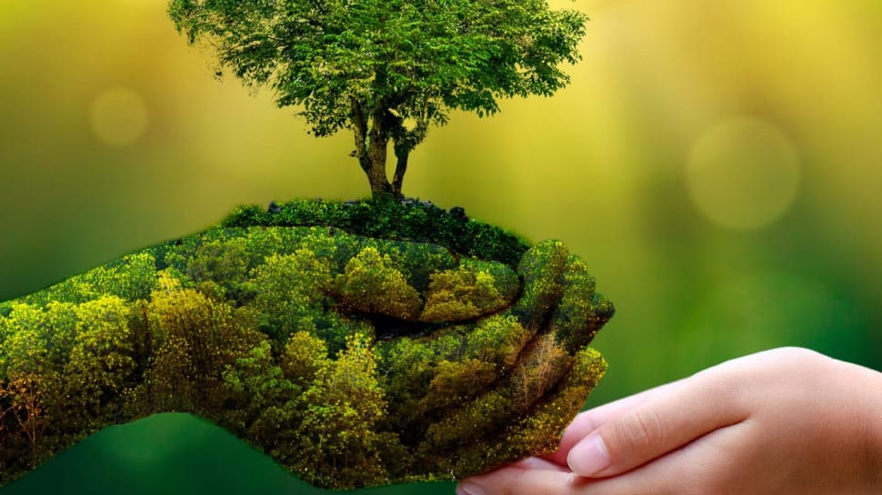 அடுத்த 10 ஆண்டுகளில் நிகழப்போகும் ஆபத்து  : எச்சரிக்கும் இயற்கை ஆர்வலர்கள்.!