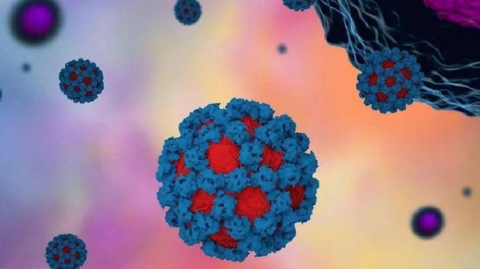 தக்காளிக் காய்ச்சலைத் தொடர்ந்து கேரளாவை அச்சுறுத்தும் நோரோ வைரஸ்