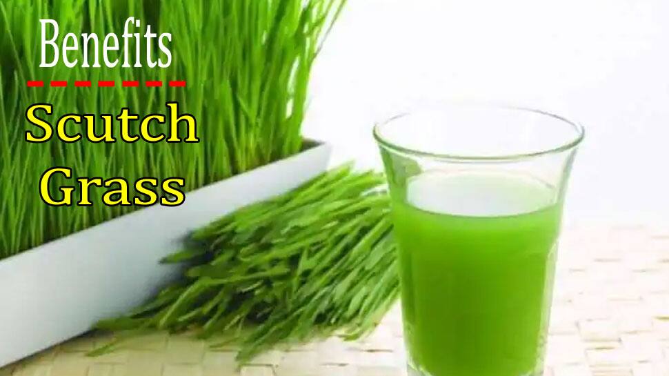 Arugampul juice benefits discount