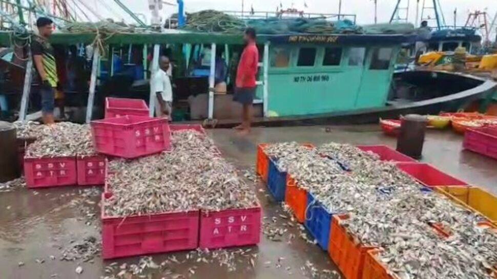 61 நாட்களுக்கு பிறகு எதிர்பார்த்த அளவிற்கு மீன்கள் கிடைக்காததால் நாகை மீனவர்கள் ஏமாற்றம்