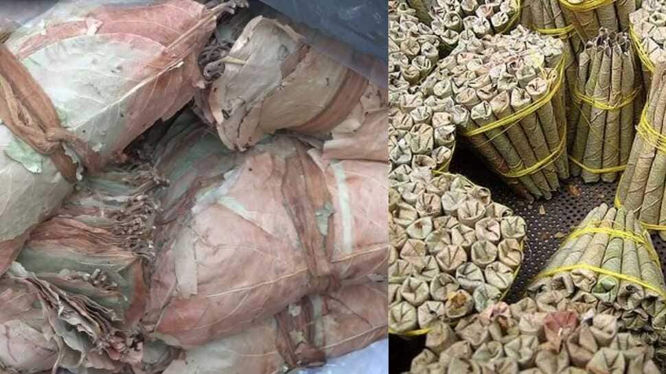 நடுக்கடலில் மிதந்த 'பீடி' இலை மூட்டைகள் - ரூ.17 லட்சம் 