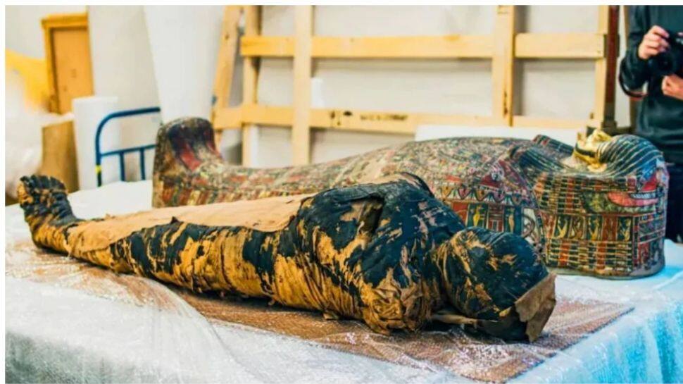 Egyptian Mummy: கர்ப்பிணி மம்மியின் ஆராய்ச்சியில் வெளியான ஆச்சர்ய தகவல்கள்