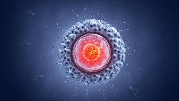 SHOCKING: ஈரோடு சிறுமியிடம் இருந்து மாதந்தோறும் கருமுட்டை எடுத்தது அம்பலம்!