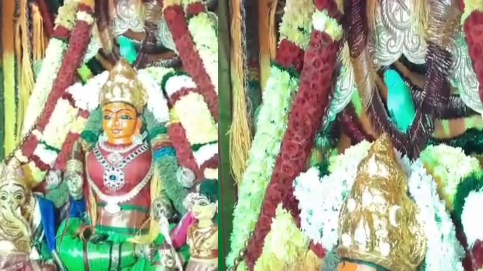 மாசாணி அம்மன் மீது சரியான நேரத்தில் வந்தமர்ந்த ‘கிளி’ - பக்கத்து ஊரில் இருந்தும் கூடிய கூட்டம்! 