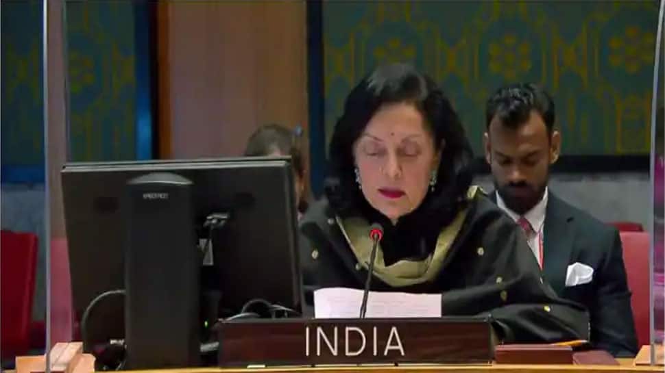 பயங்கரவாதிகளை காப்பாற்றும் சீனா - பாகிஸ்தான்; ஐநாவில் இந்தியா காட்டம்