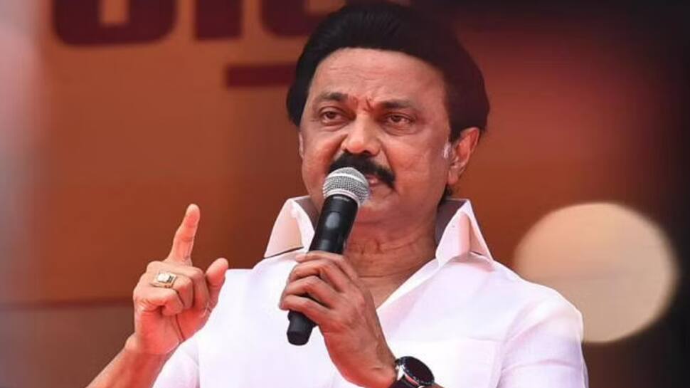  இலவச திட்டங்கள் அல்ல; சமூக நல திட்டங்கள் - முதலமைச்சர் மு.க. ஸ்டாலின்