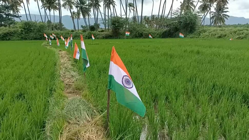 வயலில் பறந்த 100க்கும் மேற்பட்ட தேசியக் கொடிகள்; அசத்தும் தேனி விவசாயி