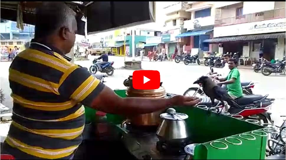 காக்கைக்கு கையில் வடை தரும் டீக்கடைக்காரர்! வைரலாகும் வீடியோ!