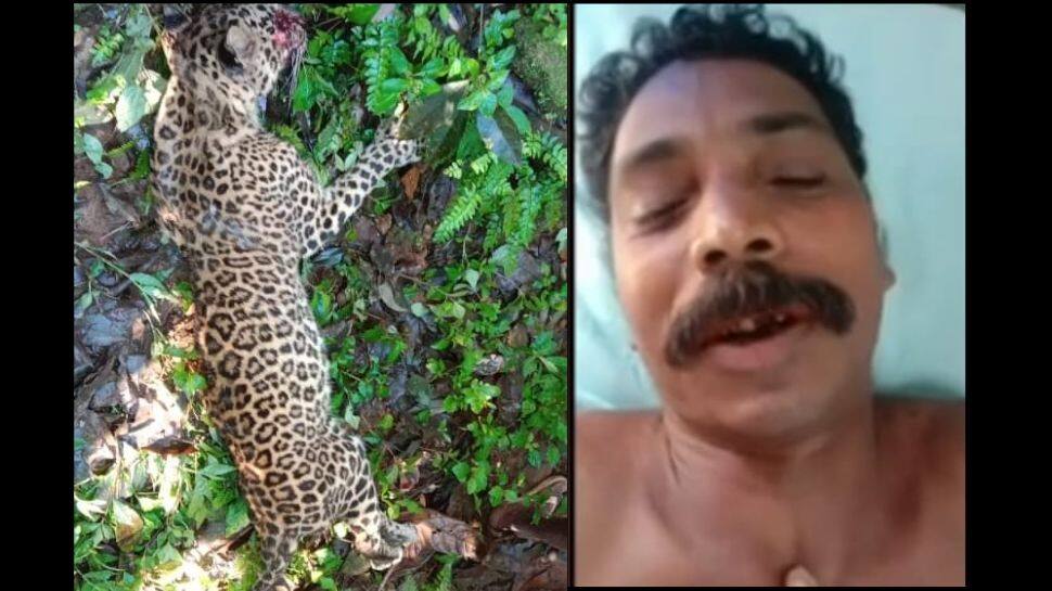 இடுக்கியில் உயிரை காப்பாற்றிக்கொள்ள சிறுத்தையை கத்தியால் வெட்டிய கூலி தொழிலாளி!