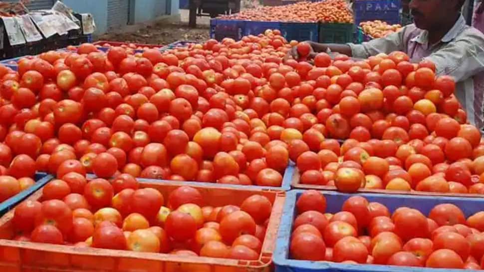 இருமடங்காக உயர்ந்த தக்காளி விலை: இல்லத்தரசிகள் அதிர்ச்சி