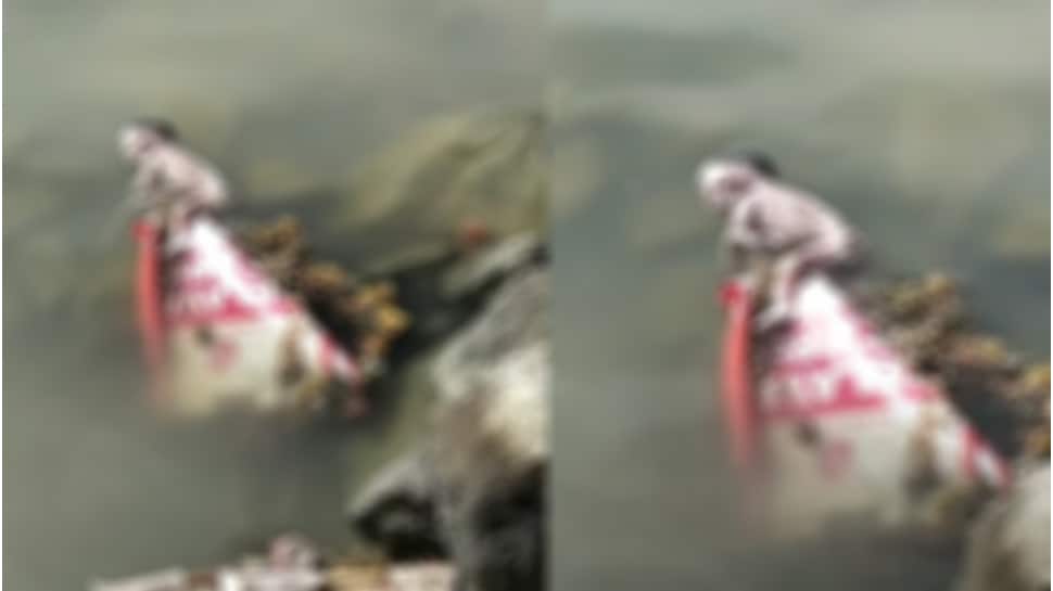 பிறந்த பச்சிளம் பெண் குழந்தையை கடலில் வீசி கொலை!