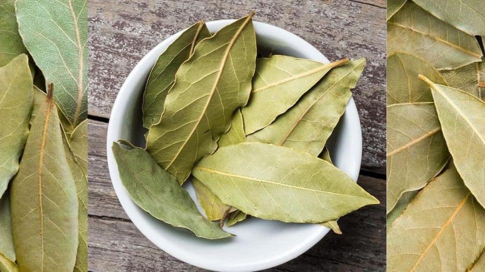 Amazing Medicinal Properties of Bay Leaves நீரிழிவு நோயை ஓட விரட்டும்