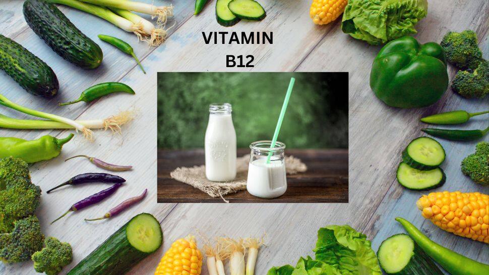 Vitamin B12 Foods For Vegetarian | அபரிதமான வைட்டமின் பி12 சத்தை கொண்ட ...