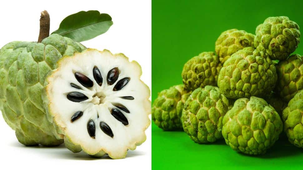 diabetes-vs-custard-apple-know-plus-and-minus-seethapalam