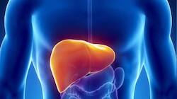 Liver Health: கல்லீரலில் உள்ள நச்சுகளை வெளியேற்றும் ‘சூப்பர்’ பழங்கள்!