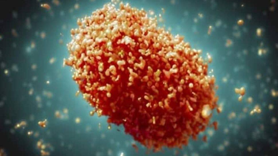 தீவிரமாகுமா குரங்கம்மை? டெல்லியில் மேலும் மூன்று பேருக்கு நோய்த்தொற்று உறுதி