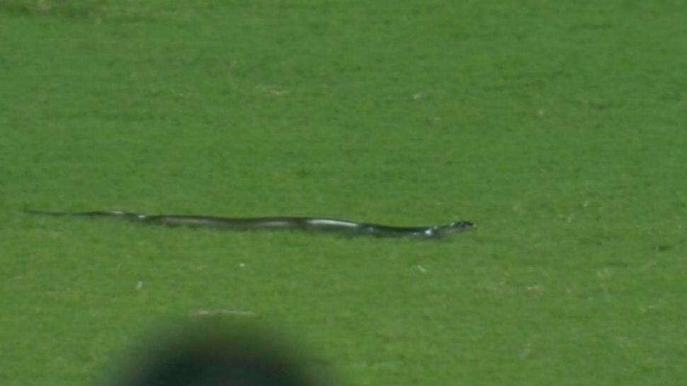 கிரிக்கெட் விளையாட வந்த பாம்பு; பதறி ஓடிய வீரர்கள்