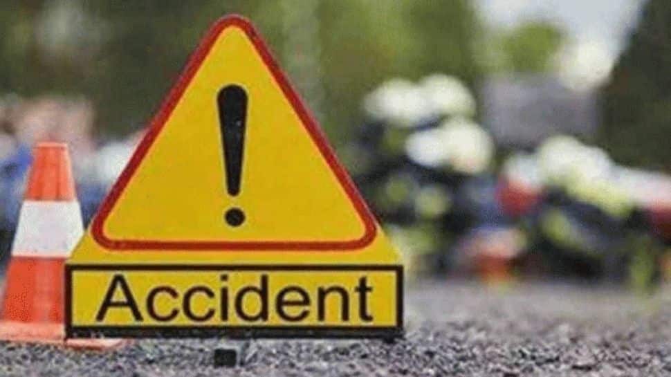 எமனாய் வந்த நாய்; தலை நசுங்கி இளைஞர் பரிதாப மரணம்!