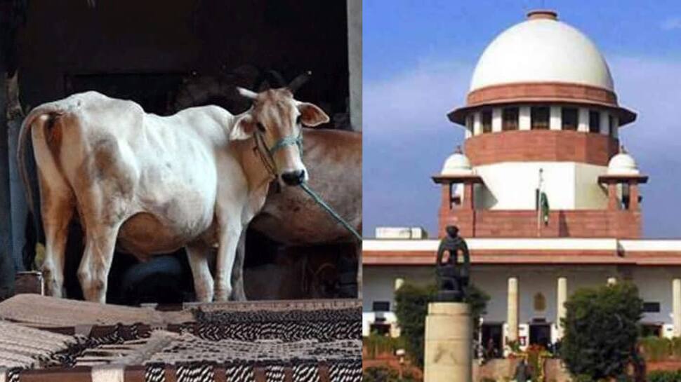 'பசு தேசிய விலங்கா... வேற இல்லையா எங்களுக்கு' - உச்ச நீதிமன்றத்தை கோபத்தில் ஆழ்த்திய பொதுநல வழக்கு