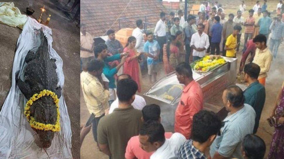 ஸ்ரீ அனந்த பத்மநாபசுவாமி கோவிலில் வசித்த ‘சைவ’ முதலை இறைவனடி சேர்ந்தது!