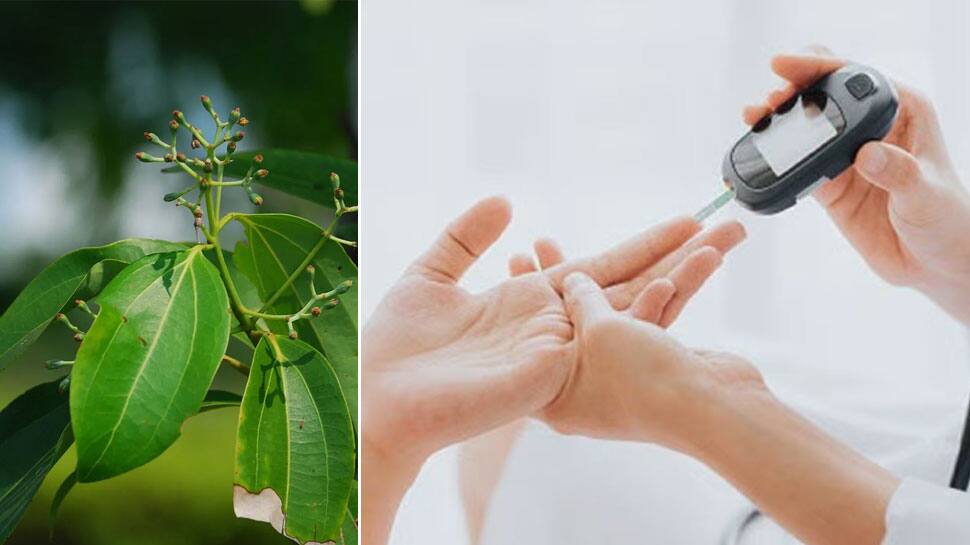 Cinnamon Good For Diabetic இரத்த சர்க்கரை அளவைக் குறைக்க உதவும்