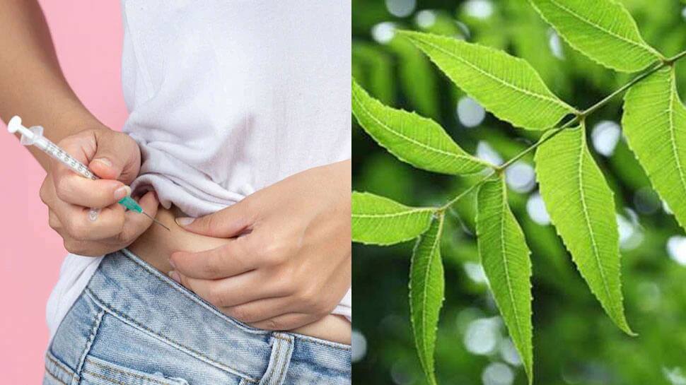 Consume This Leave To Control Blood Sugar consume-this-leave-to-control-blood-sugar