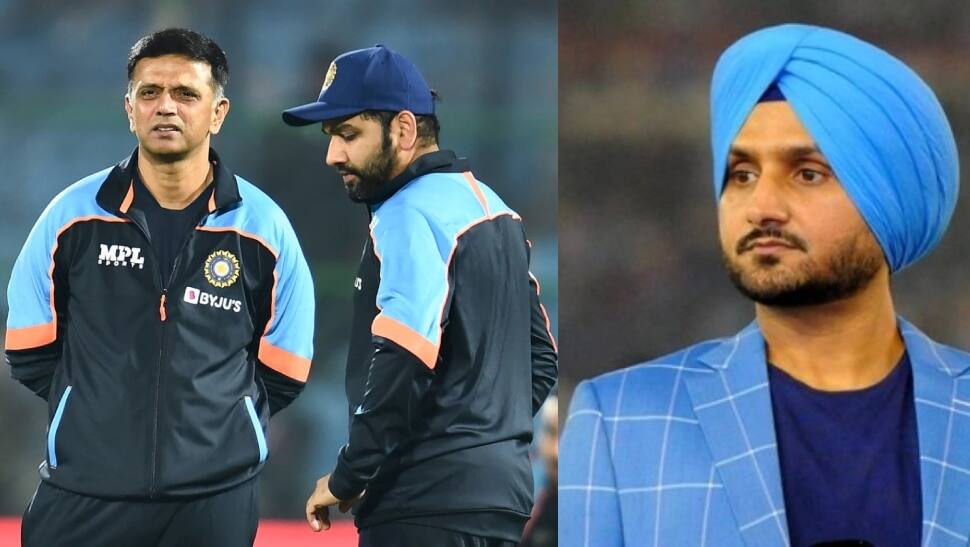 Harbaja Singh Wants Ashish Nehra And Hardik Pandya As Team India Coach And Captain டிராவிட் 8768