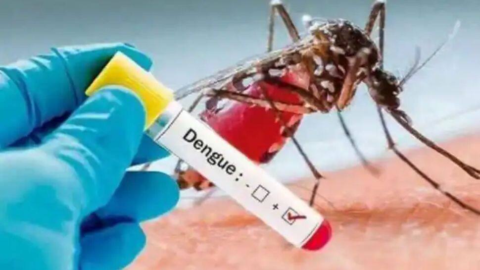 Dengue Precaution Alert In Kerala: Dos And Donts To Prevent From Mosquito Prone Disease | மழையால் டெங்கு தடுப்பு நடவடிக்கைகளை முடுக்கிவிடும் கேரள மாநில அரசு