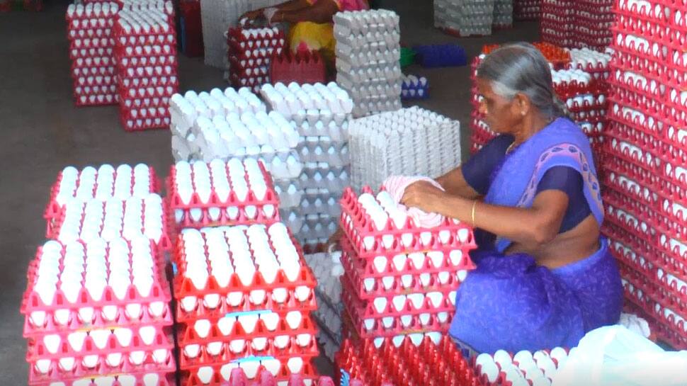 FIFA World Cup 2022: உலகக்கோப்பை கால்பந்து போட்டியில் கலக்கும் நாமக்கல் முட்டை