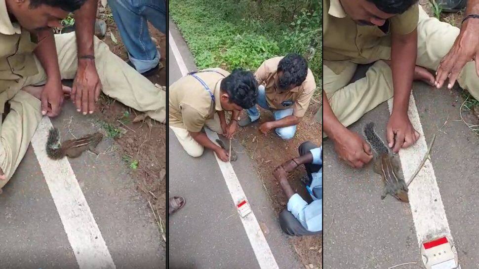 Viral News: அணிலுக்கு CPR சிகிச்சை அளித்து மறு உயிர் கொடுத்த மின்வாரிய ஊழியர்கள்!