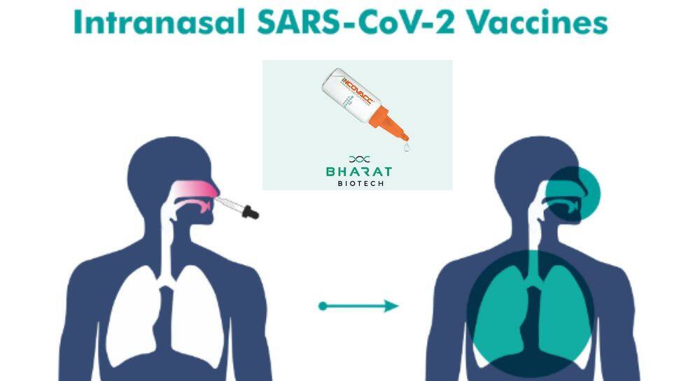 ஊசியில்லா கொரோனா தடுப்பு மருந்து iNCOVACC! இனி கொரோனா பயம் கொஞ்சம் குறையும்