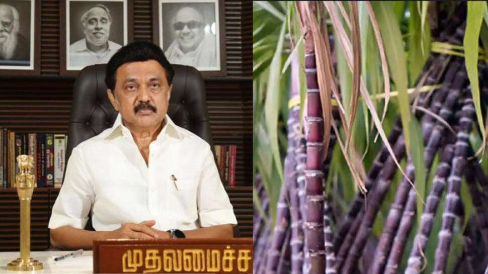 விவசாயிகளுக்கு வெற்றி... பொங்கல் தொகுப்பில் வருகிறது கரும்பு - முதல்வர் அறிவிப்பு!