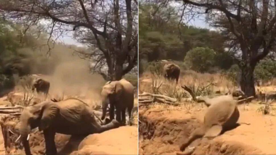 Cute Viral Video of Baby Elephant Viral Video ஹூஹூம்.... இது தேர்ற