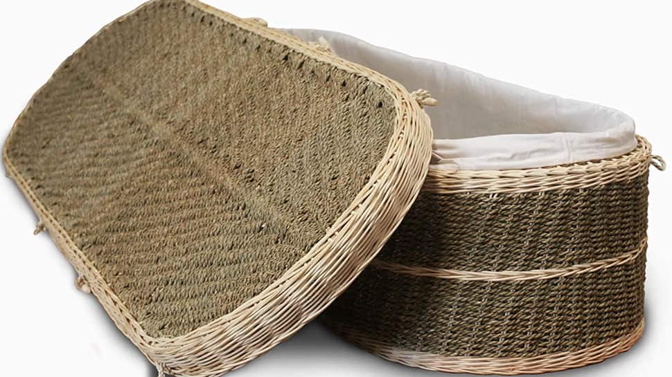 Green Funeral மூலம் 'இறந்த மனித உடலை உரமாக்கலாம்' எப்படி? நீங்கள் தெரிந்து கொள்ள வேண்டியது