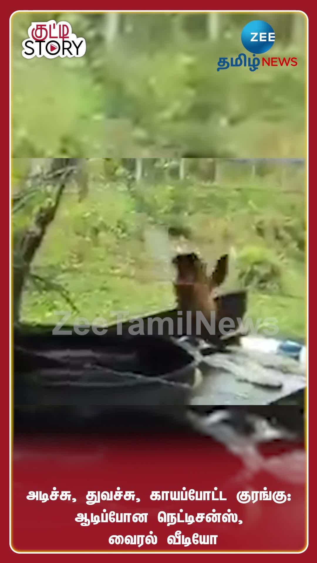 Video Thumbnail