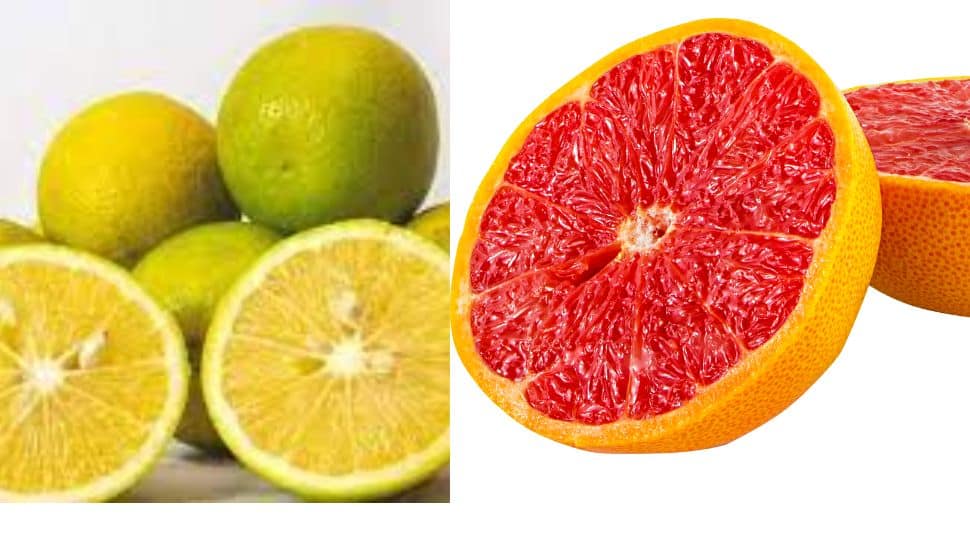 Fruit For Weight Loss With Orange Flavor தனிச்சுவை கொண்ட கிரேப்