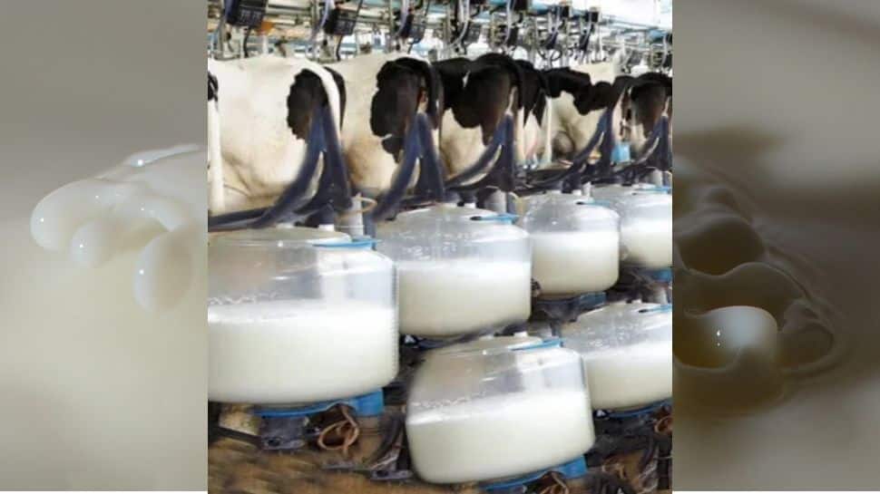 Sri Lanka Milk: பால் உற்பத்தியில் தன்னிறைவடைய இலங்கைக்கு உதவும் இந்தியா