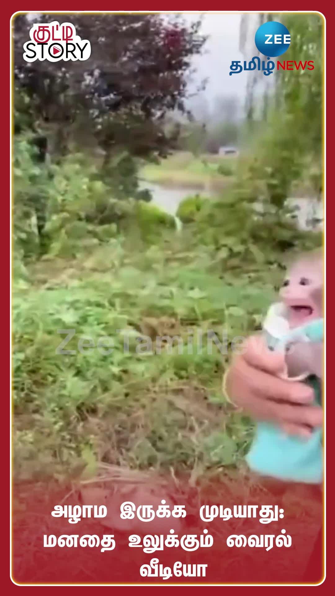 Video Thumbnail
