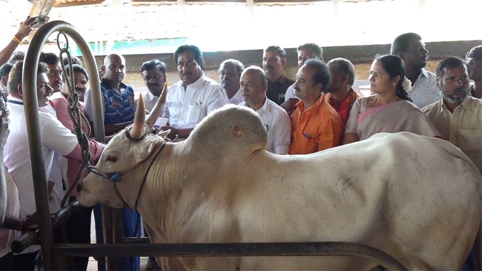 அலங்காநல்லூர் ஜல்லிக்கட்டை உதயநிதி தொடங்கிவைப்பார்... பரிசுகள் அறிவிப்பு