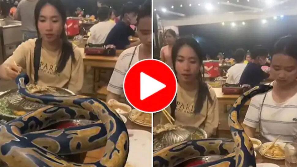 Python Viral Video: Girls On Dinner Date with Python, See What Happens Next |  A Dinner Date with a Python: Stunning Girl, Amazed Netizens, Video Goes Viral