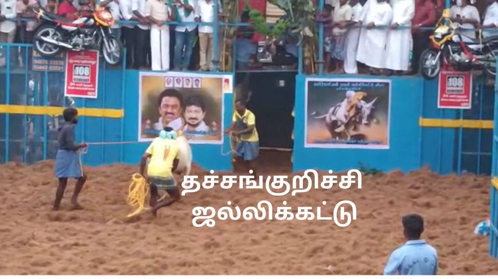 புத்தாண்டை வரவேற்ற தச்சாங்குறிச்சி ஜல்லிக்கட்டு! ஆண்டின் முதல் மஞ்சுவிரட்டு