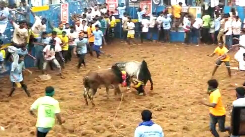 'எடப்பாடியார் vs சின்னவர்' - ஜல்லிக்கட்டு விழாவில் மல்லுக்கட்டிய தொண்டர்கள்   