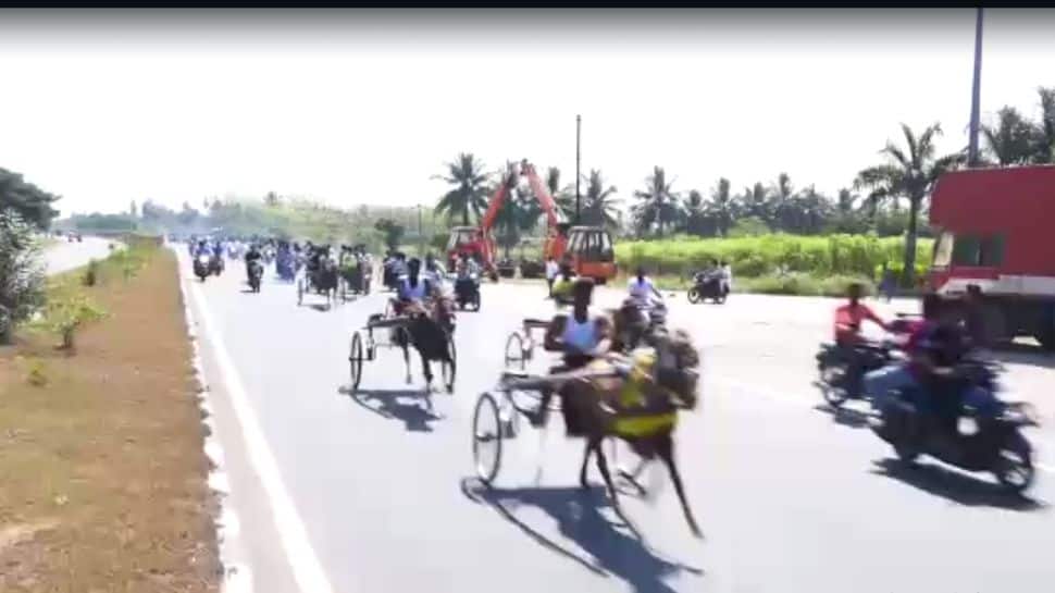 Pongal 2023: ஆத்தூர் உடையார்பாளையத்தை மிரட்டிய மாபெரும் குதிரை ரேக்ளா போட்டி!