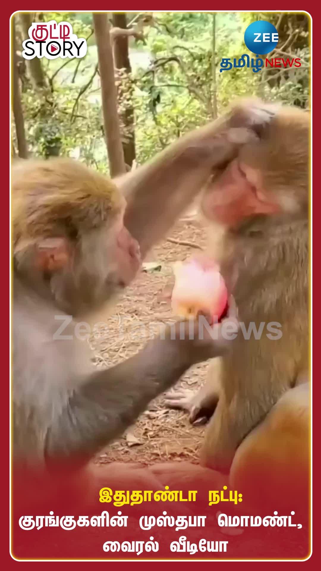 Video Thumbnail