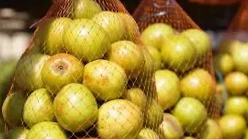 Jujube Fruit Benefits இந்த புளிப்பு பழம் ஊட்டச்சத்துக்களின்