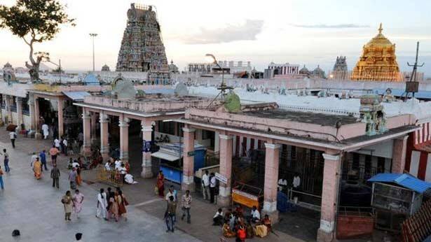 பழநி கோவிலில் இன்று வேள்வி பூஜை துவக்கம்!