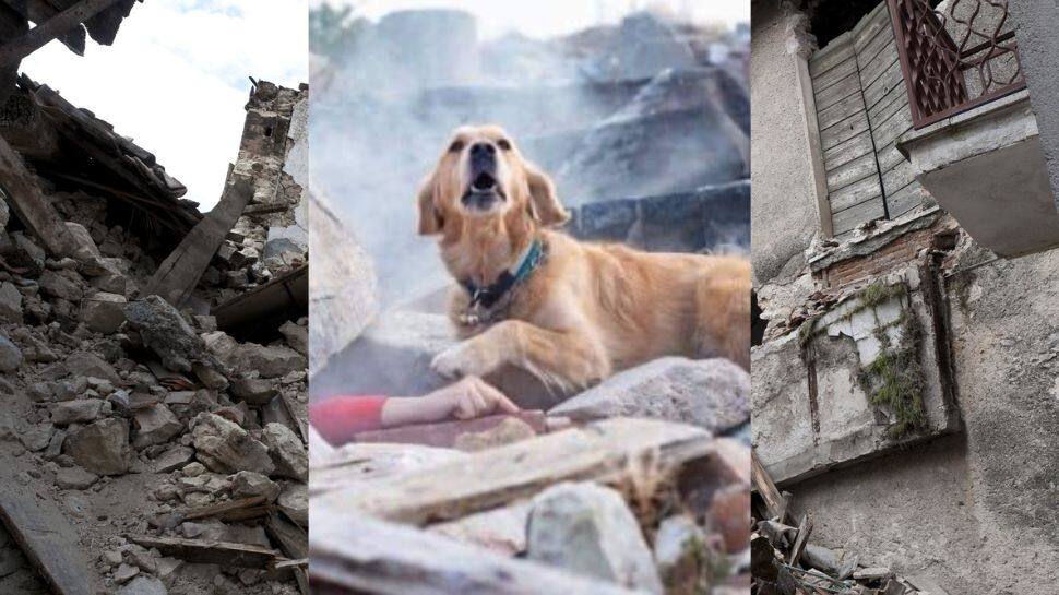 கிடுகிடுவென உயரும் பலி எண்ணிக்கை! துருக்கி & சிரியாவில் மக்களின் நிலை திண்டாட்டம்