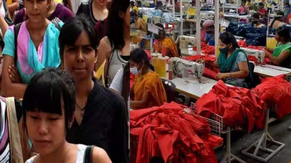 Empowerment: இந்தியாவிலேயே தமிழ்நாட்டில் தான் பெண்களுக்கு பாலின சமத்துவம் அதிகம்