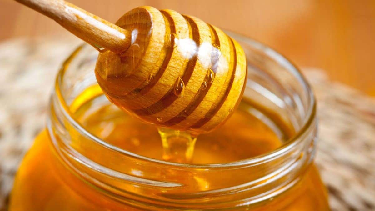 Weight Loss Tips Health Benefits Of Drinking Hot Water With Honey