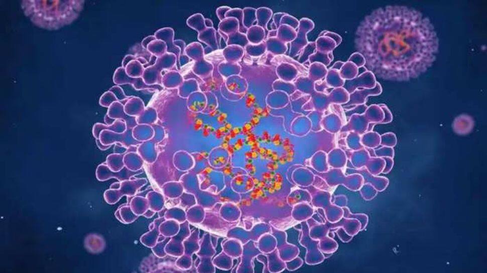 Marburg Virus: ஆப்பிரிக்க நாட்டில் வேகமாக பரவும் மார்பர்க் வைரஸ்! WHO விடுத்துள்ள எச்சரிக்கை!